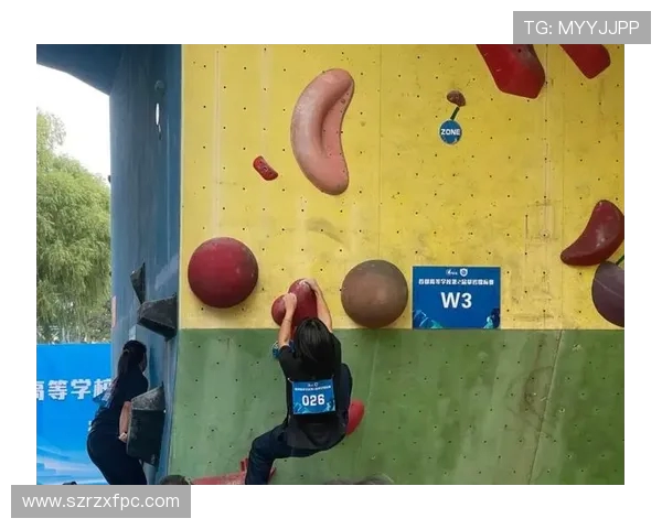 攀岩个人能力排行榜揭晓北京攀岩队荣获第二名佳绩